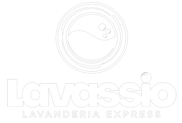 Lavassio Web Store